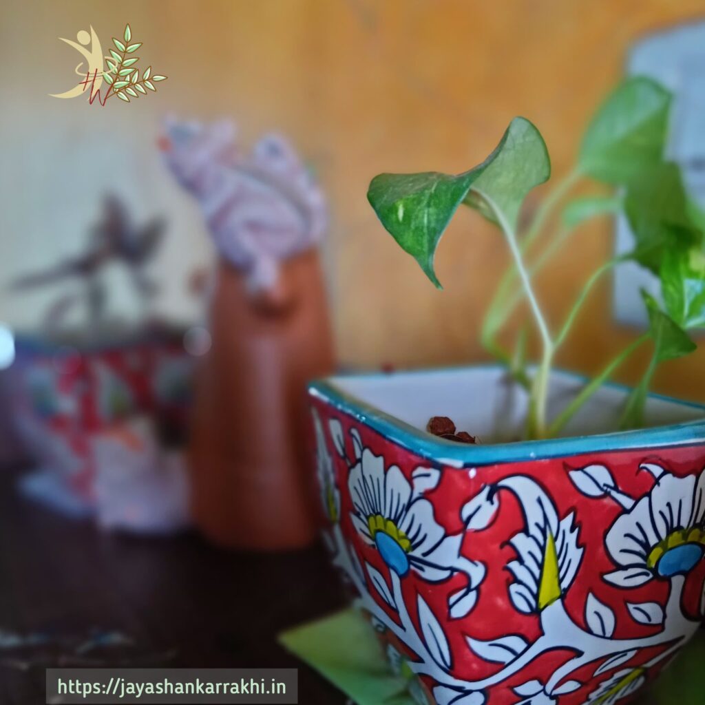 Artisans of India - ceramic pot