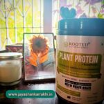 Ultimate Guide to Vegan Protein Options
